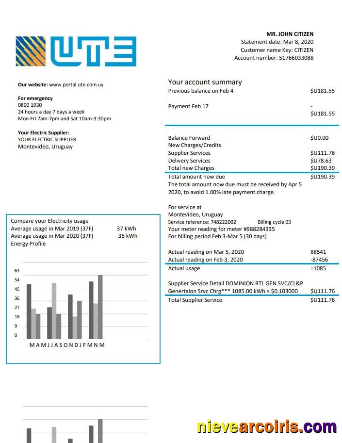 Uruguay UTE Company electricity utility bill